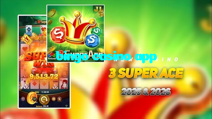 bingo casino app