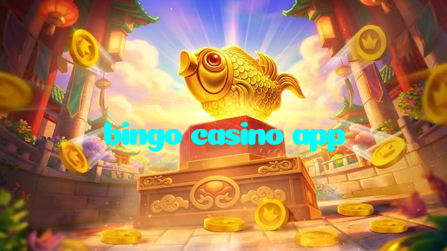 bingo casino app